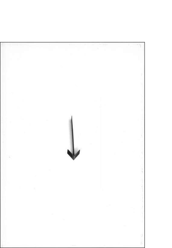 Michele Bernardi. 1997-1998